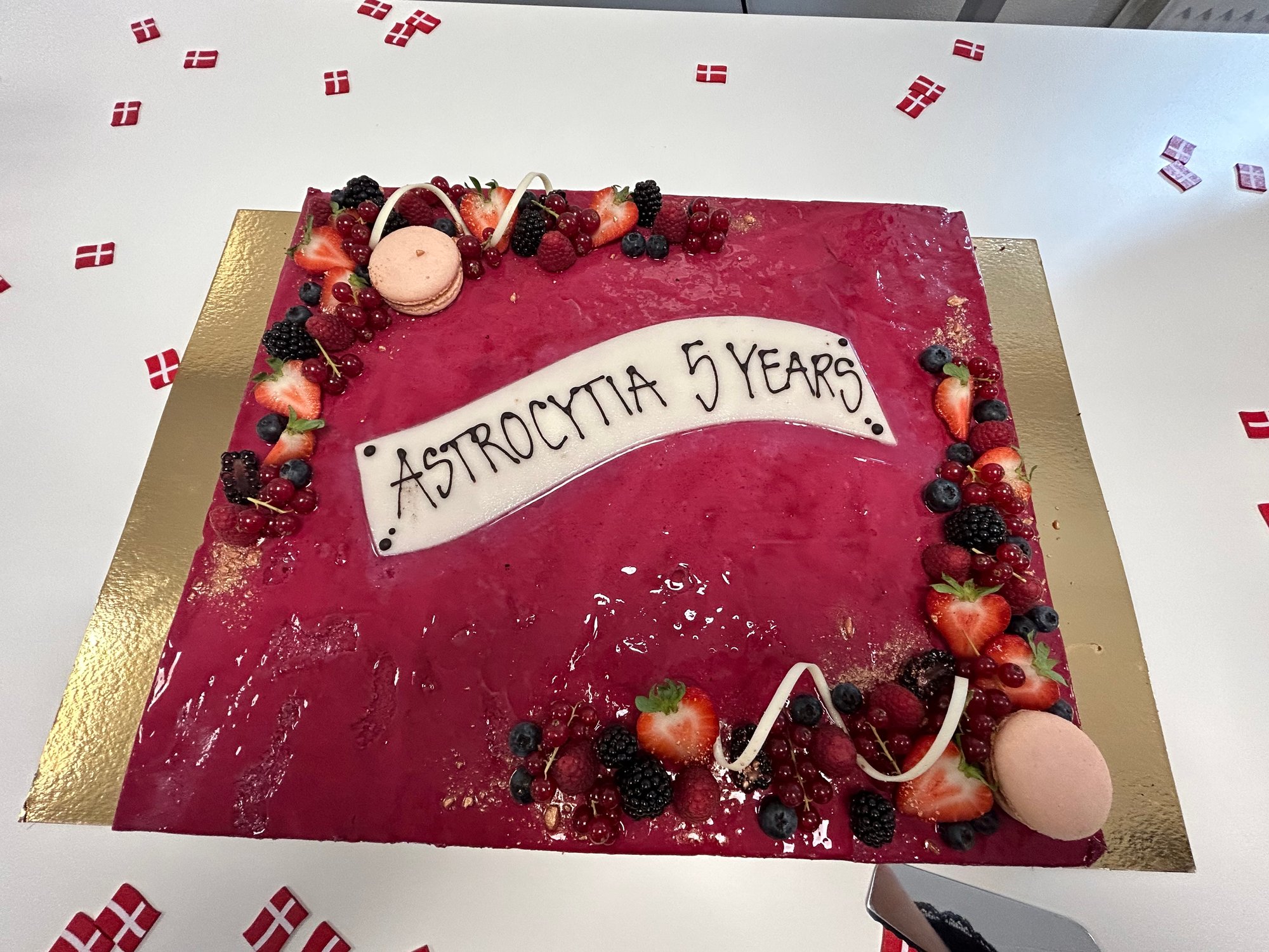 Astrocytia 5 years reception cake